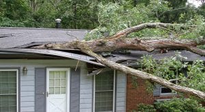 Homeowners Damage | Valuable Tips | FMT Insurance